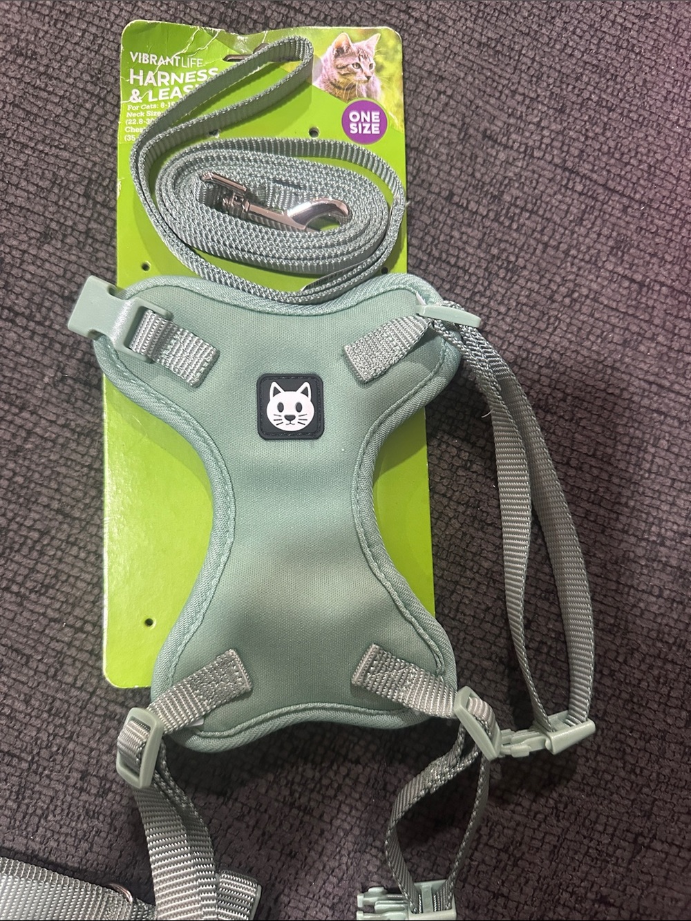 Vibrant Mint Green Cat Harness & Leash